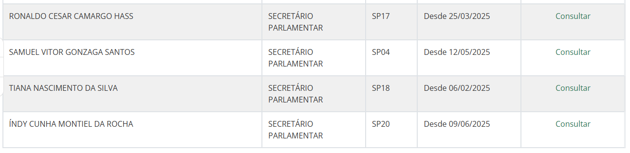 Documentos expõem contratação polêmica no gabinete de Erika Hilton