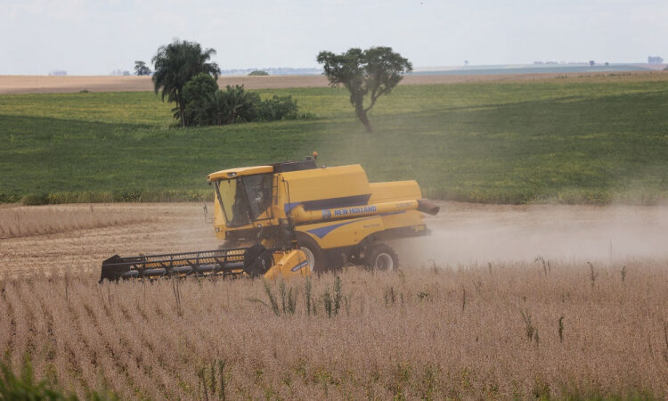 Brasil bate recorde histórico: safra 2025 explode em 341 milhões de toneladas e cresce 16,6%