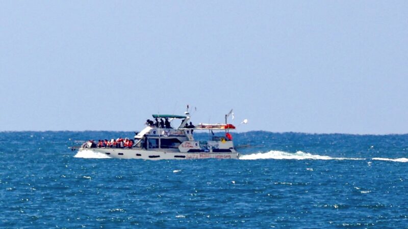 Ativista Anuncia Missão Secreta para Vigiar Cessar-Fogo: Revelações Chocantes e Alerta Internacional