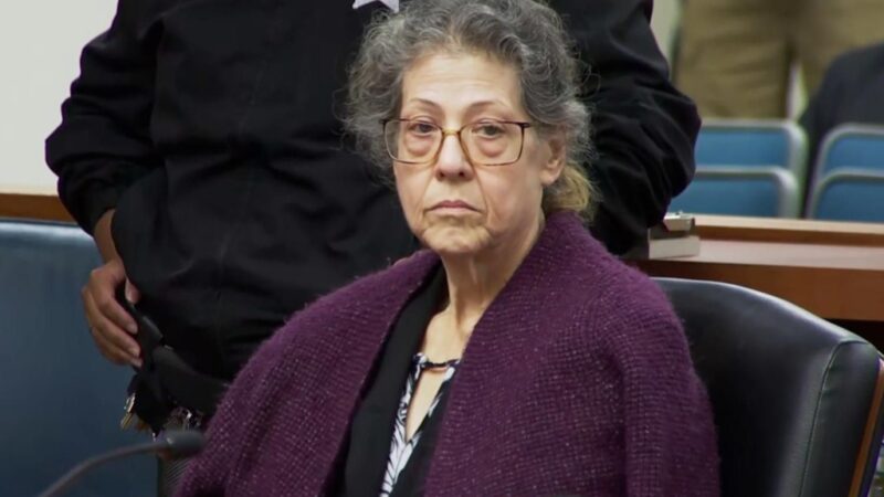 Vizinha Perfeita ou Assassina? O Paradeiro Atual de Susan Lorincz e os Segredos Chocantes Revelados