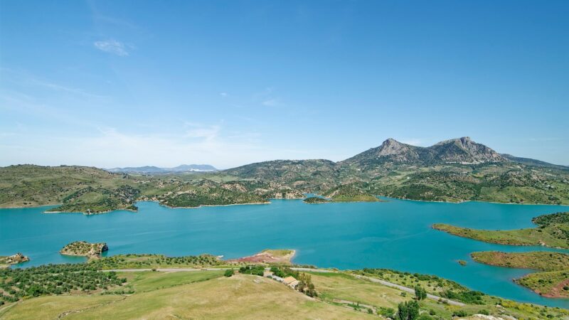 7 Estratégias Eficazes para Economizar em Casa: Cortando Gastos sem Perder o Conforto