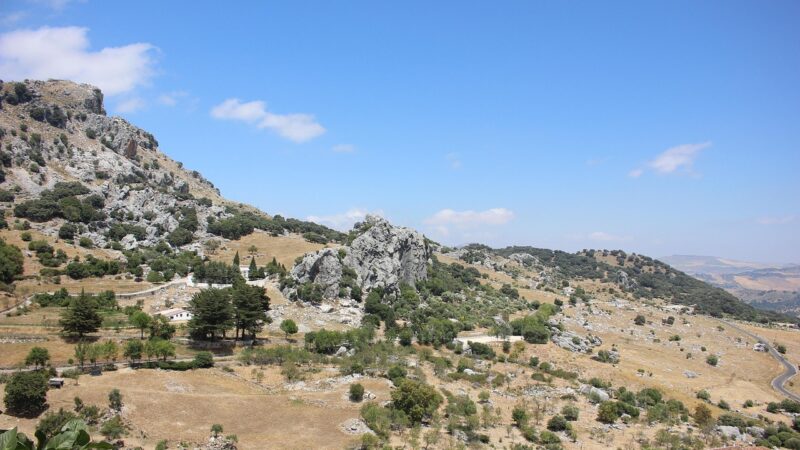 10 Dicas para Economizar em Viagens com Conforto e Estilo