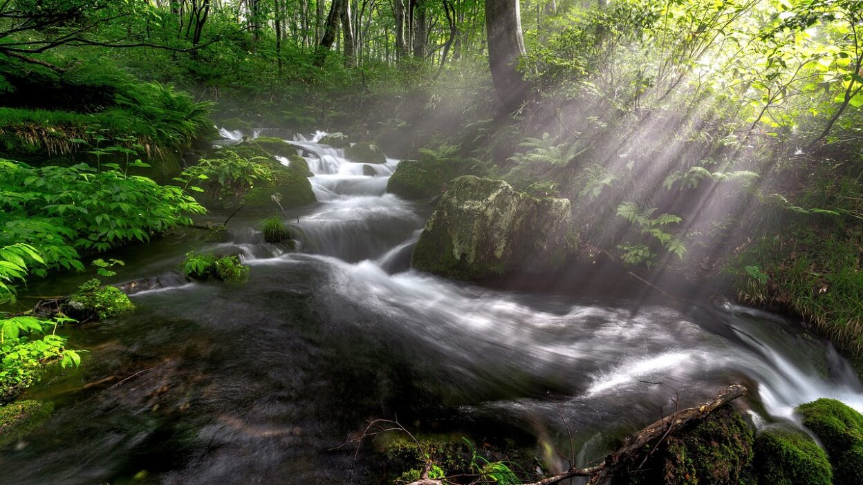 VPN para Torrent: Descubra as Opções Mais Seguras para Downloads em 2023