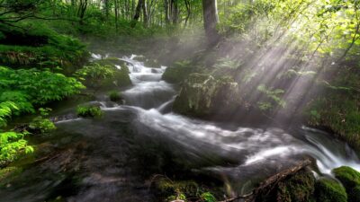 VPN para Torrent: Descubra as Opções Mais Seguras para Downloads em 2023