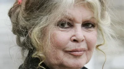 Urgente! Brigitte Bardot readmitida em estado grave após cirurgia mostrada