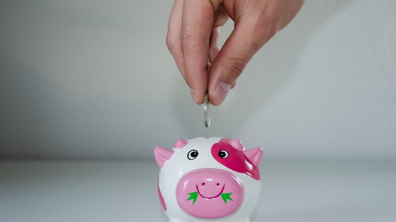 10 Dicas Infalíveis para Eliminar Juros e Iniciar a Poupança