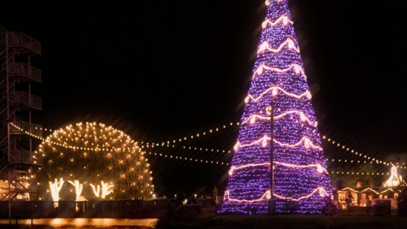 EXPLOSIVA DESCOBERTA: 12 Maneiras INACREDITÁVEIS que o Mundo Celebra o Nascimento de Jesus que Você Nunca Viu!