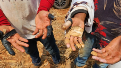 Vergonha Nacional: Brasil Quebra Recorde de Trabalho Escravo