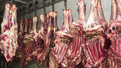 UE expulsa carne brasileira do mercado europeu; governo entra em pânico com decisão surpresa e mercado em queda de $