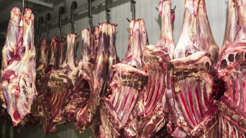 UE expulsa carne brasileira do mercado europeu; governo entra em pânico com decisão surpresa e mercado em queda de $