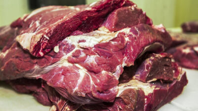 Escândalo Sanitário: Europa bloqueia toda carne brasileira por antibióticos perigosos!