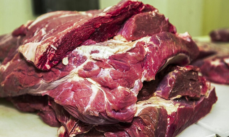 Escândalo Sanitário: Europa bloqueia toda carne brasileira por antibióticos perigosos!