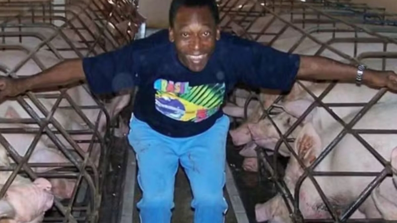 Pelé construiu sítio de 660 hectares que viralizou de novo e fotos do luxo chocam
